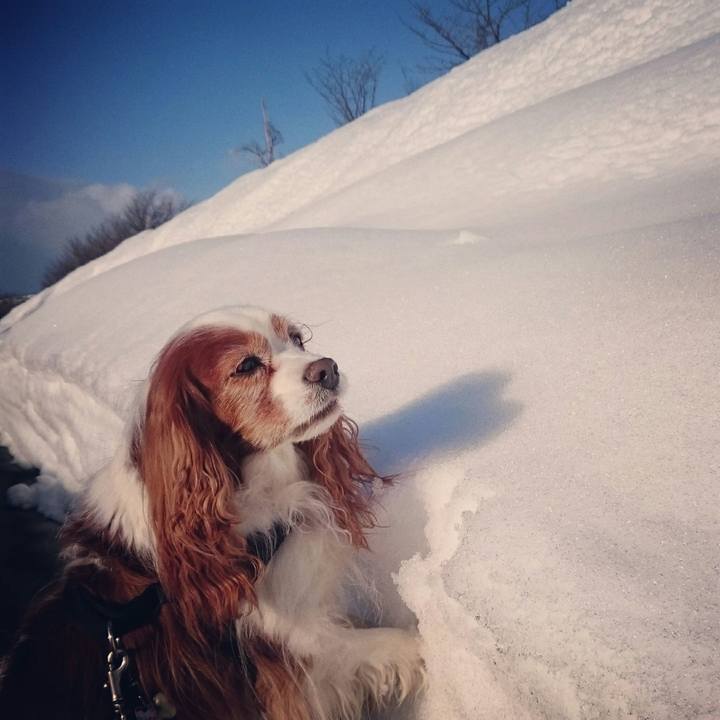 8cdc4663 5f9c 4a6c b3db c4ddde831d41 1518345825367