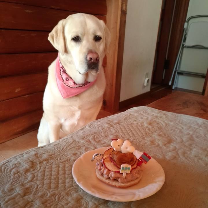 8cdc563c 2762 4dc2 a0aa 2af7c9813181 1581393950377