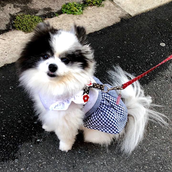 8cdc568d 6a17 4f76 8723 a0729139e6e4 1552812404321