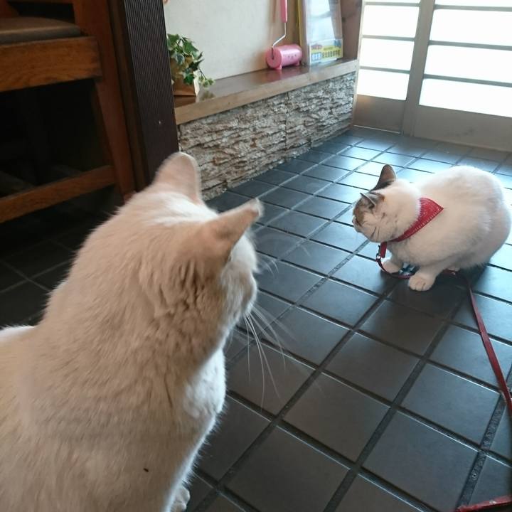 8cdc7d73 5c74 4b7a 9081 a0f7f75f7286 1524127291911