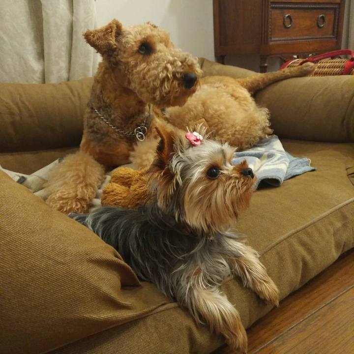 8cdcd074 2072 403e ba27 584221eba0aa 1562850951974