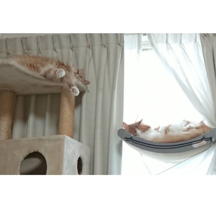 8cdcd973 17a3 4a89 b2a2 f4b72975ebdf 1574485504798