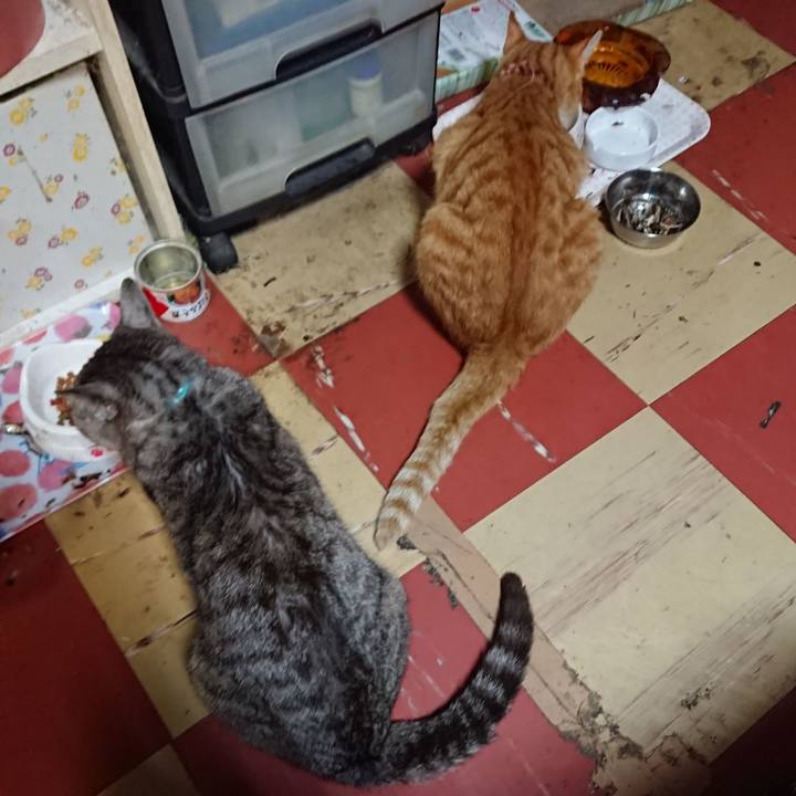 8cdcf248 3e67 4ab3 81e0 5141c87270a5 1564920841583