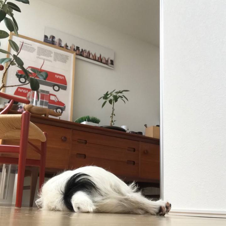 8cdd0796 9841 44cc 8010 0aacc3b1eefb 1528769925709