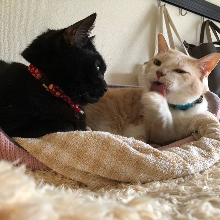 8cdd1f2c 9aad 4bb6 883f 04ca38b9c827 1613175023783