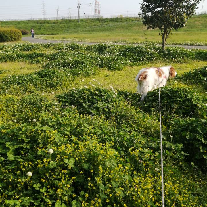 8cdd2ffc 56e0 46a7 ac5c 73891773d485 1587978051845