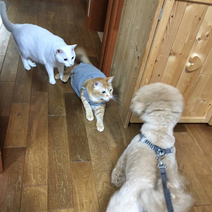 8cdd659c 5c4e 4c2a 9bf3 e2b7e2f1dafe 1533118476509