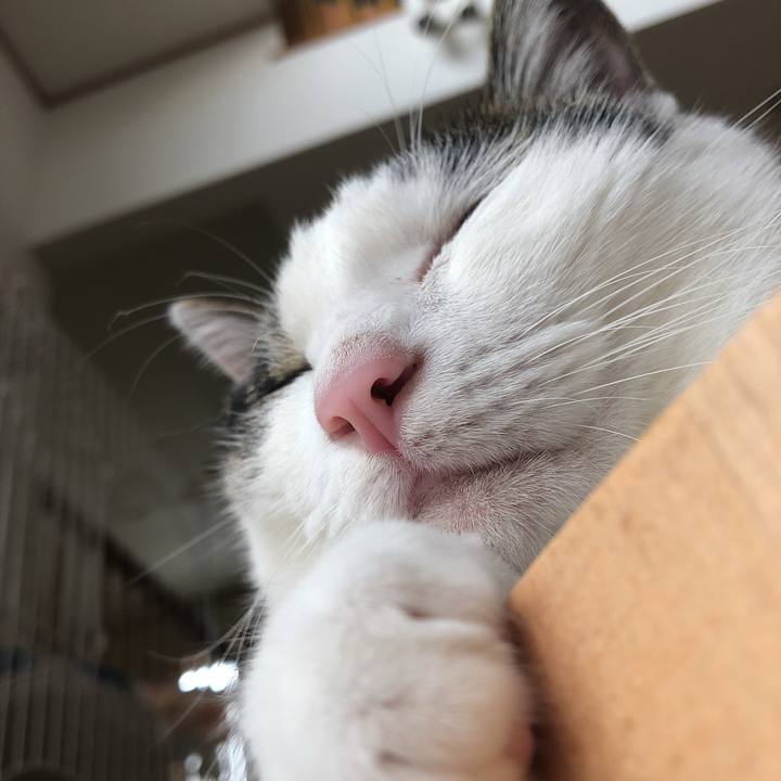 8cdd880a 8ffb 4f4d 949c 7fc6059c49ef 1632875897687