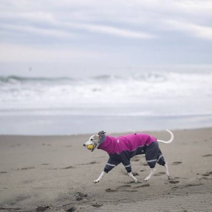 8cdda584 4d42 4854 a015 e36ef8634d52 1517391490511