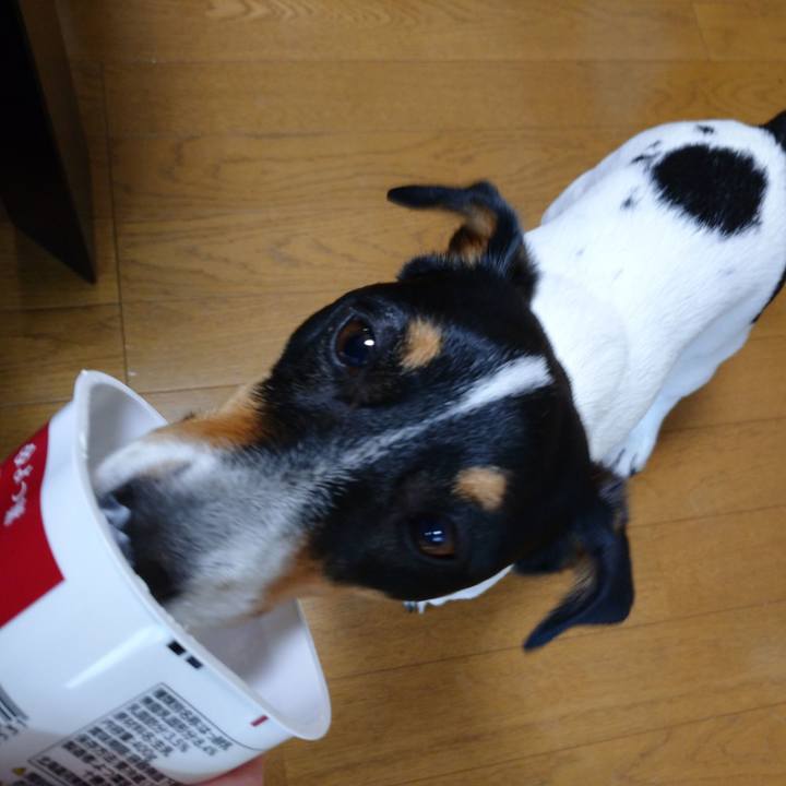 8cdde0f2 8402 4f5f a024 2396b5614051 1582688822288