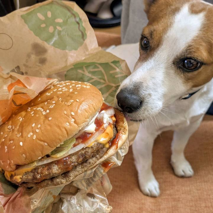 8cdde31f 3aa3 4640 ae41 aaff9f943edb 1768289240762