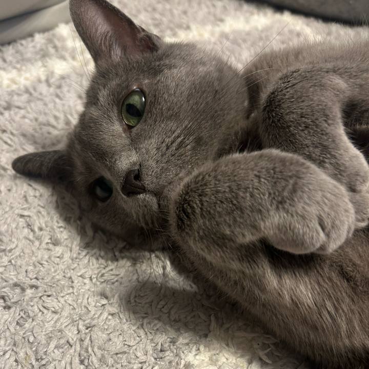 8cde0866 14f5 4032 b2d1 916b067f5eae 1750930192036