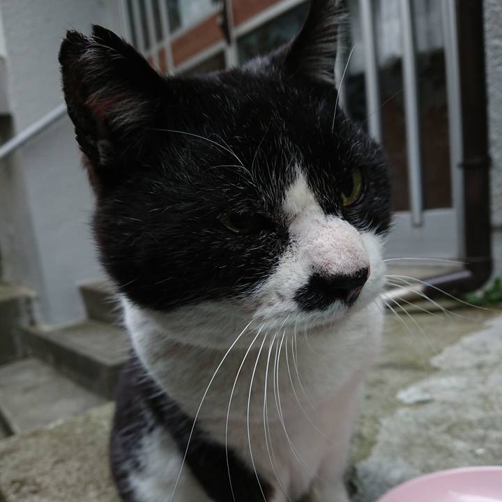 8cde165d 8642 415b a3f7 f17cf12ba5d9 1679054343574