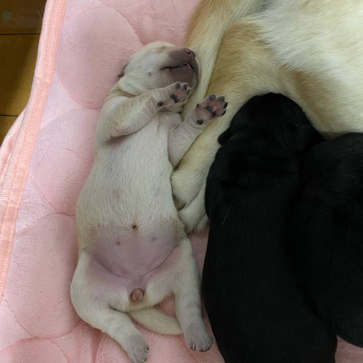 8cde6bb4 2055 49f5 8429 64ce2c11c33b 1612829518681