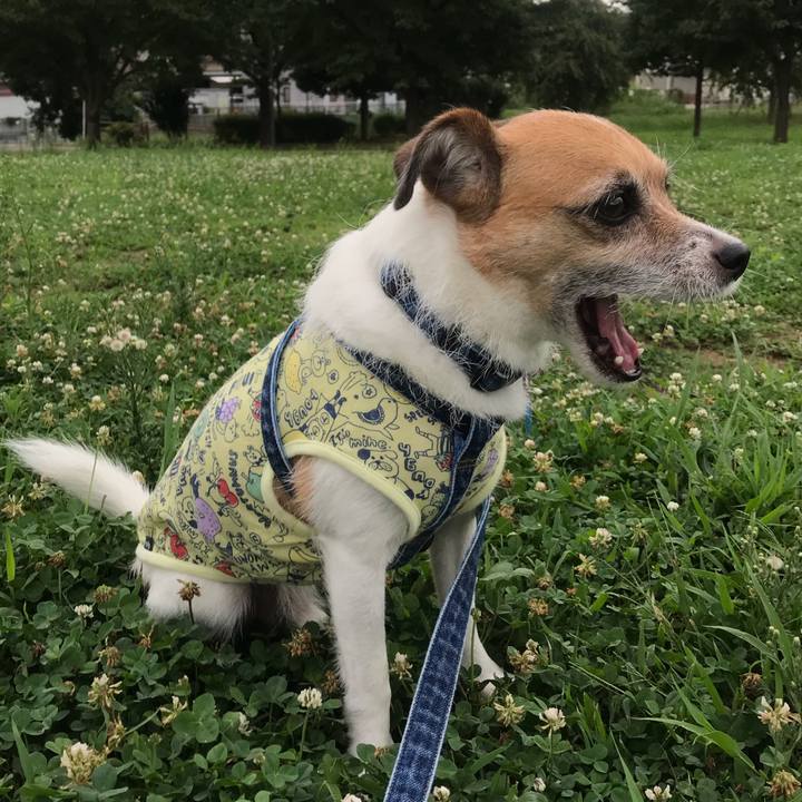 8cdec137 34a2 448e a7c4 27f4a802ebd9 1534150229128