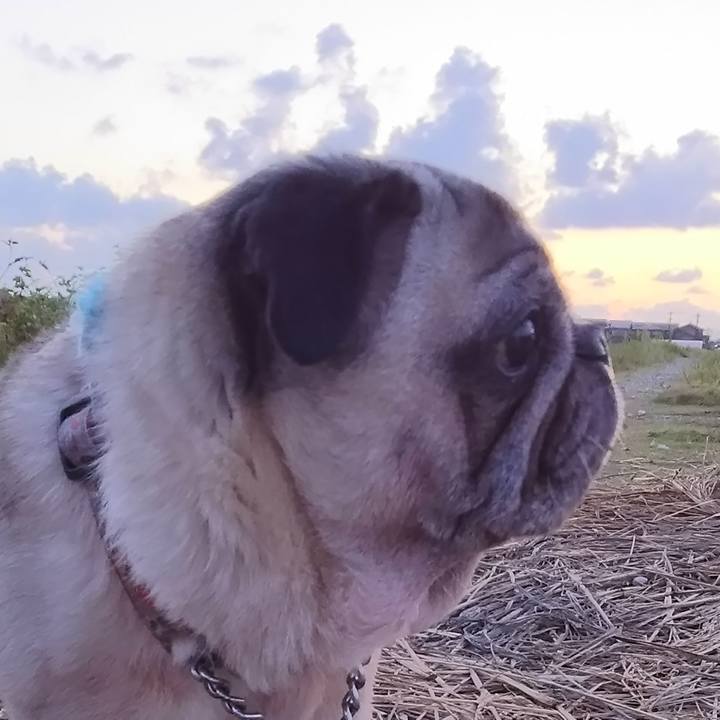 8cdee3bf 2831 4100 86f1 57c3f46017df 1597226144043