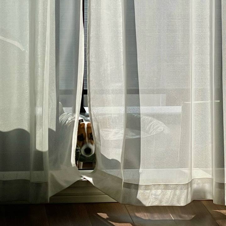 8cdee836 bad0 4d0b 8c14 2ba56e8d78a2 1717021916614