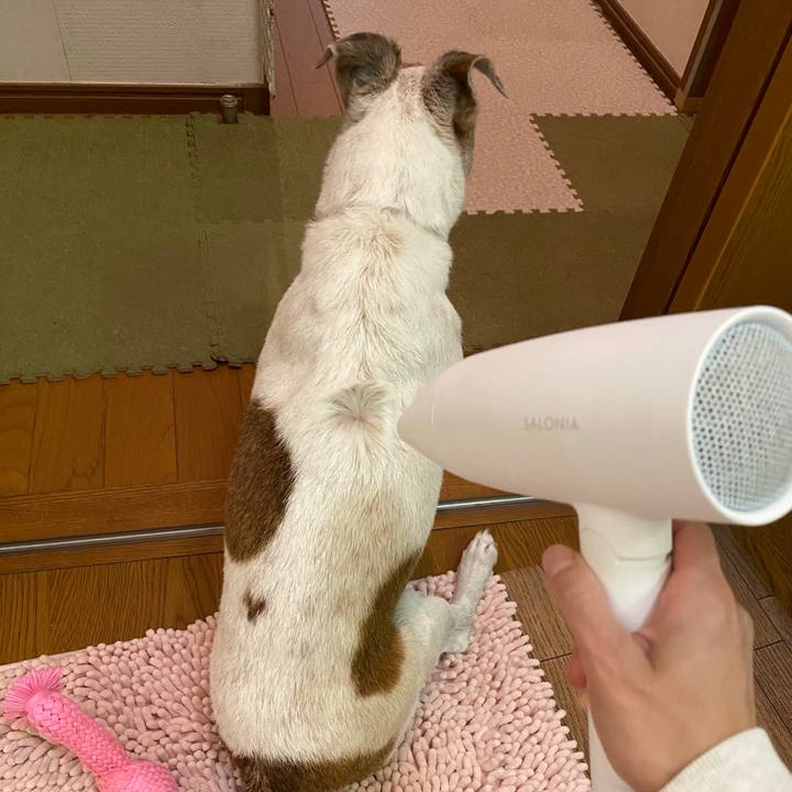 8cdefd82 d0a4 412a ad7d 89313dd8ef1a 1602294734779