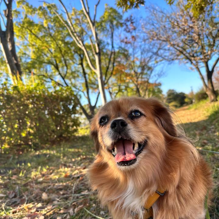 8cdf1345 e95e 4c22 b7bd b330616d917f 1763769215107