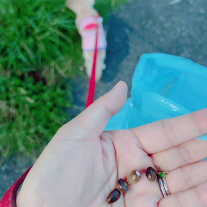 8cdf2c76 44b2 472f 8bbd 65adff9c0086 1694686865726