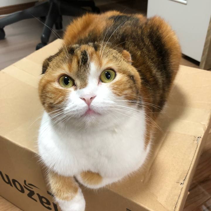 8cdf39e8 8225 4d45 a5d4 640812241c5f 1546515193743