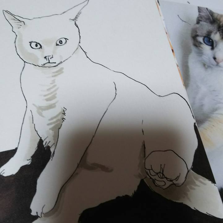 8cdf5454 5310 4c6f 933c a508f88261c3 1538907292633