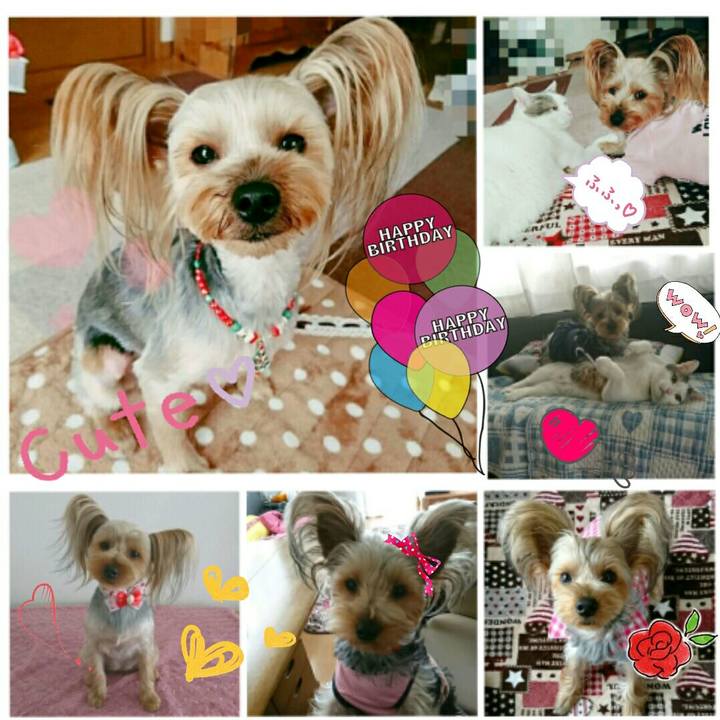 8cdfd135 cfee 4807 a056 8f28ee60e415 1516235585783