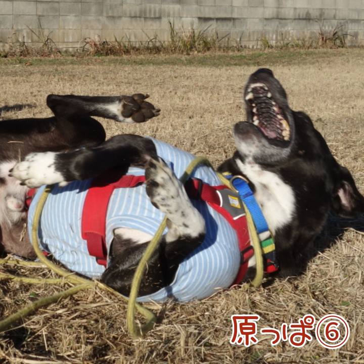 8ce00fb3 2a1c 4ee6 ad6f 694f2231cb30 1671414588929