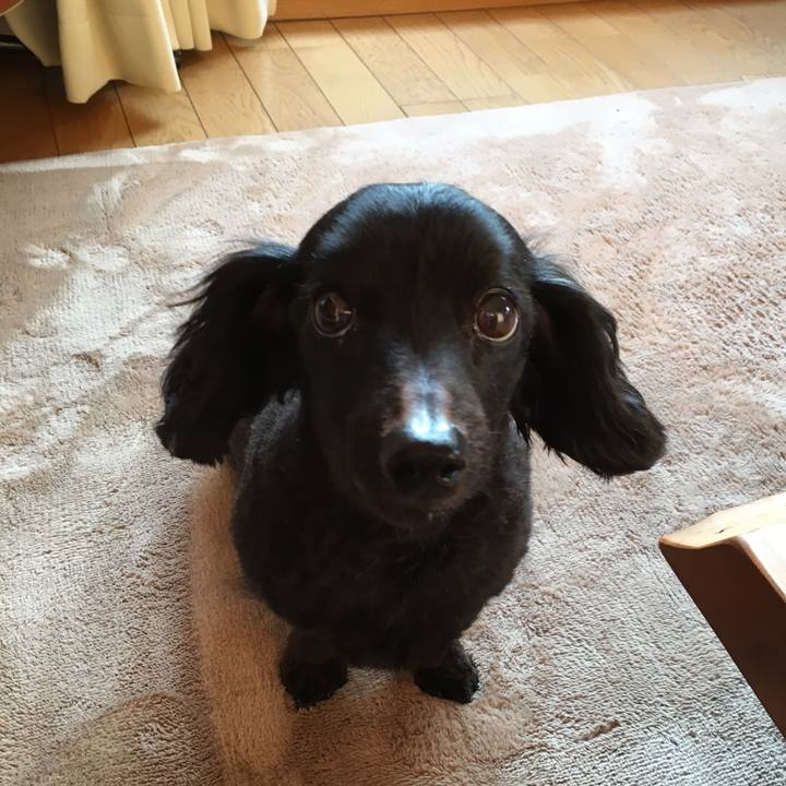 8ce0190a 4fab 4bc1 9d76 e72f137ead51 1520806014432