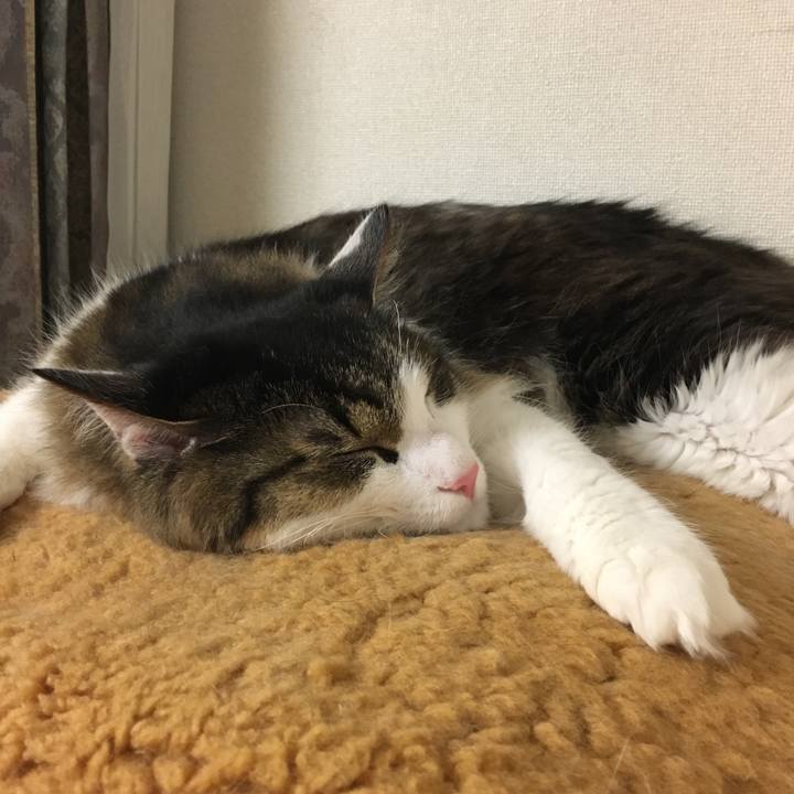 8ce055d5 7b2f 4810 9915 3996e8885ef4 1558000317869