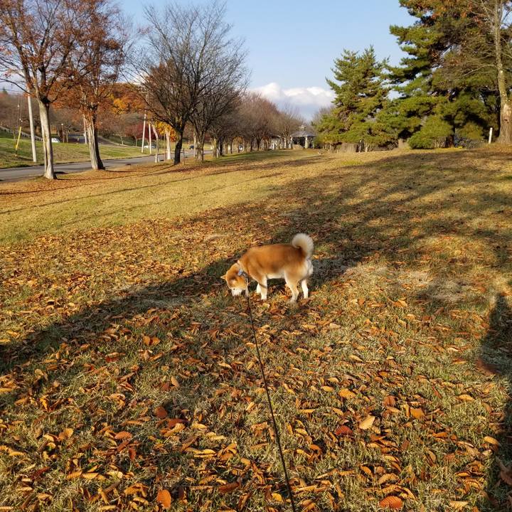 8ce062e0 7f8a 49ff 9b55 62259e272505 1668147351536