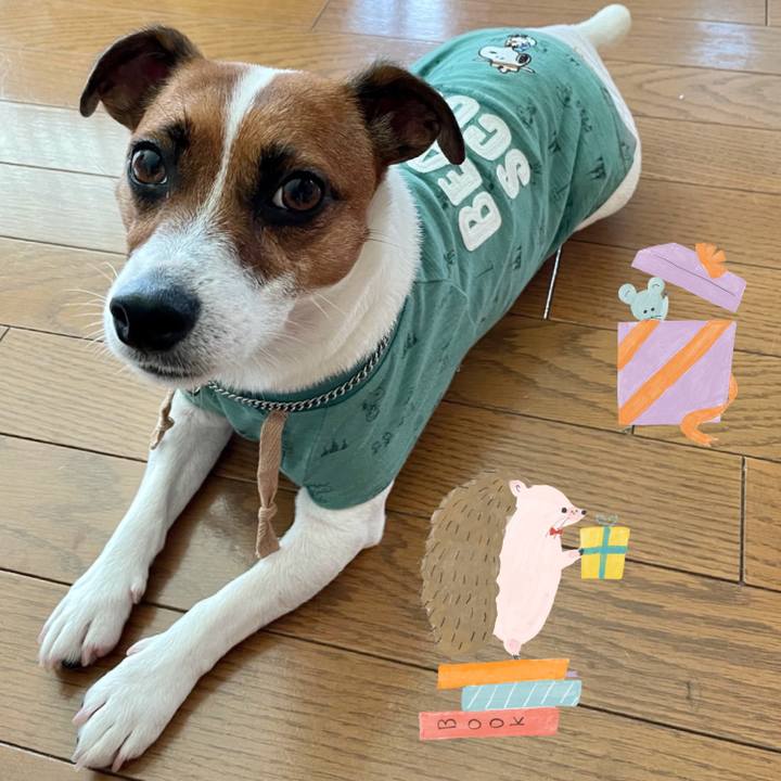 8ce0bc7a f6df 4bbc 83fb 7445d9339a63 1629681344956