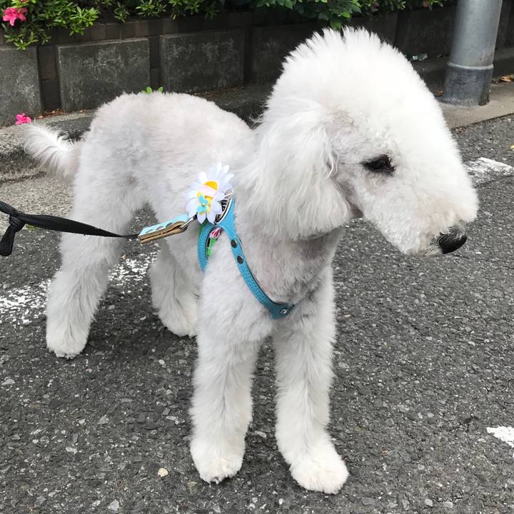 8ce0d43e 2d89 43e6 97ec 8b047fdf650d 1590299741919