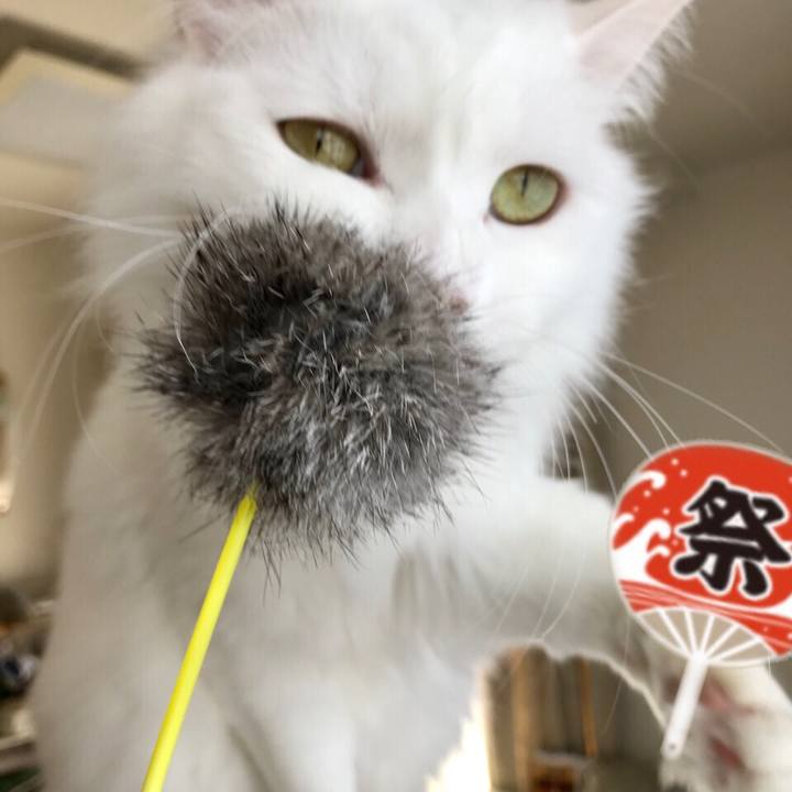 8ce0dad2 1751 42d1 9735 69e5590bf2d9 1582720113187