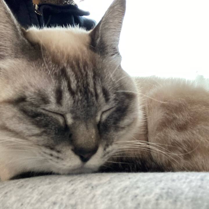 8ce0dce0 9559 49d7 b27f 2fc2e539b2bc 1673658028961