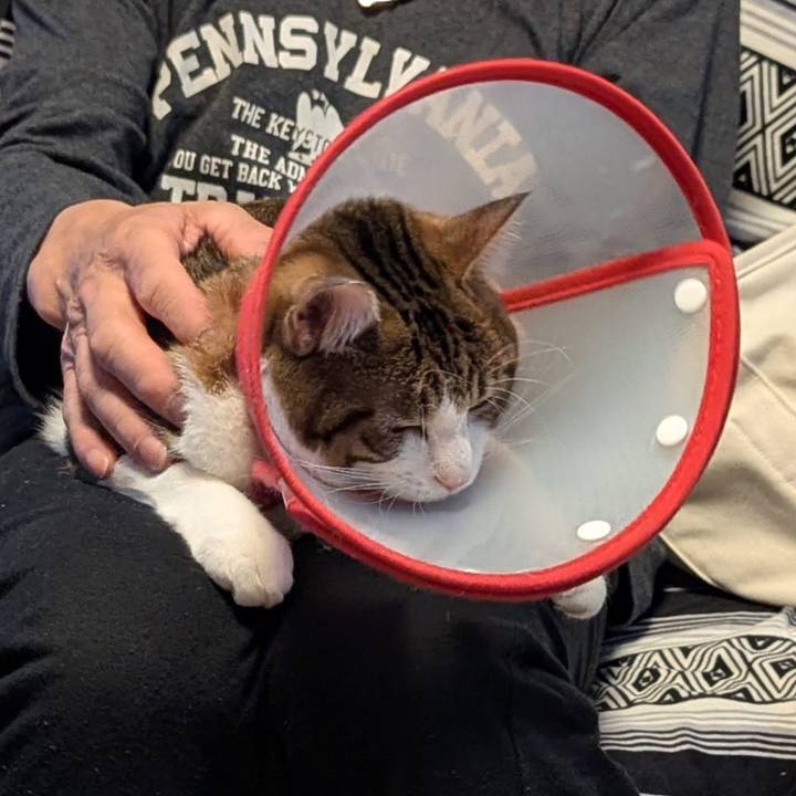 8ce0f144 7c8b 4489 8fb5 a13a58053204 1765343186922