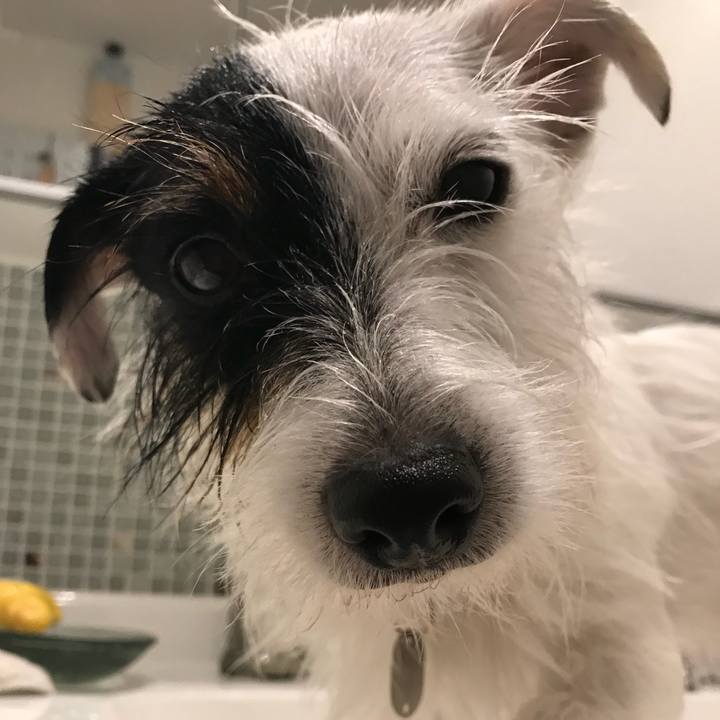 8ce10cc2 423e 4cc1 9af3 c0abc5946640 1508142307507