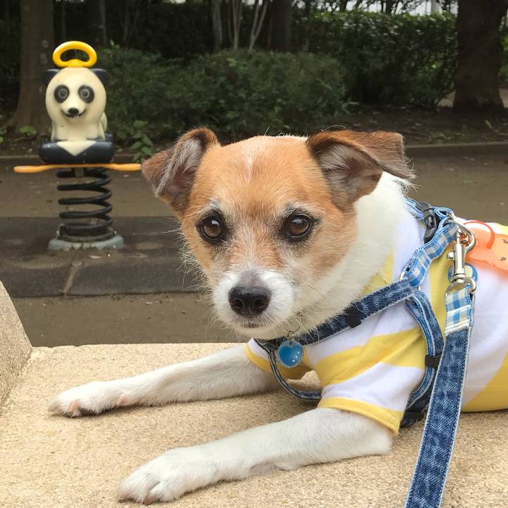 8ce11fe4 46d9 46fc ac13 f0e0bf622f54 1560326459775