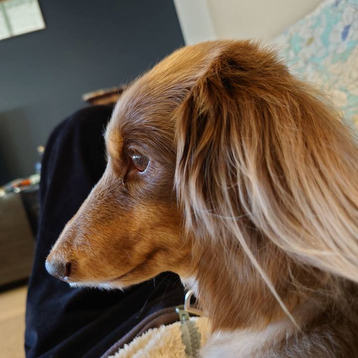 8ce18ccd 5446 4836 847c c3132a8c212f 1705223541024