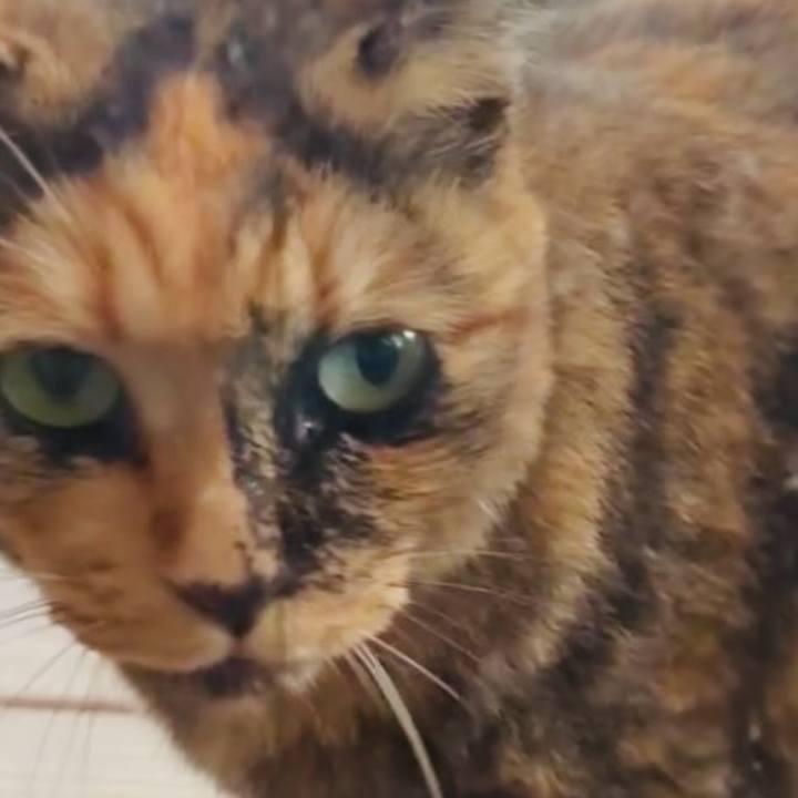 8ce1c2a9 fafa 4e60 a6d1 0f7a1e9c78dd 1758793774610