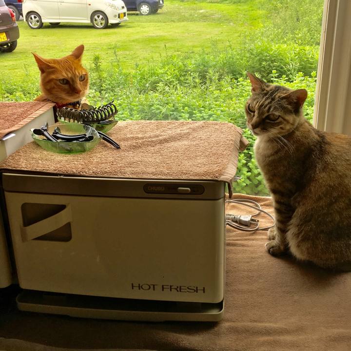 8ce1edbd dc00 4b7b 8f46 d52f1789b9bc 1530786709479