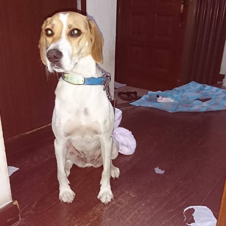 8ce2143d d954 4c83 815e cdae0bad1ac6 1568977169978