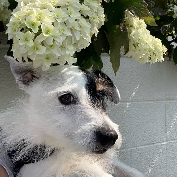 8ce229bb 7596 4673 951c d1ff40dbbc4e 1749773400584