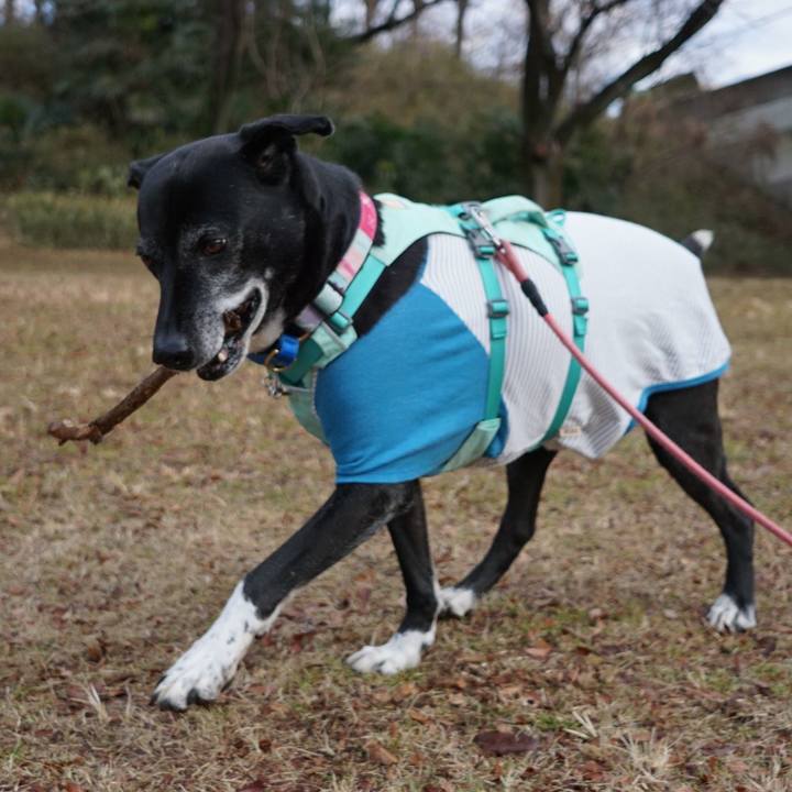 8ce229e0 15cc 460b a6bb 5ec78269f8c0 1770944135635