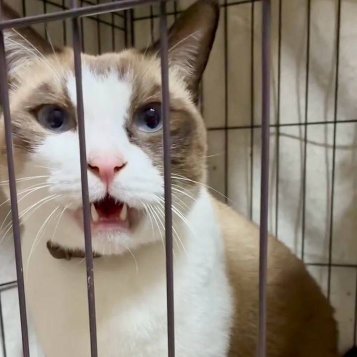 8ce239f4 6be3 4bf5 a39b 0a09cc2a0e8d 1761990921117