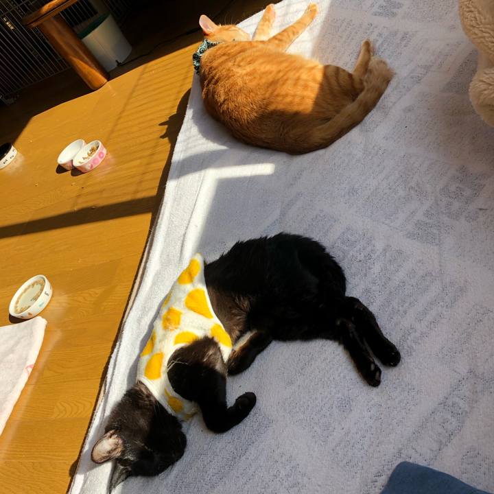 8ce24016 61f7 4539 bec2 0dd67ef9ebf0 1556425884571