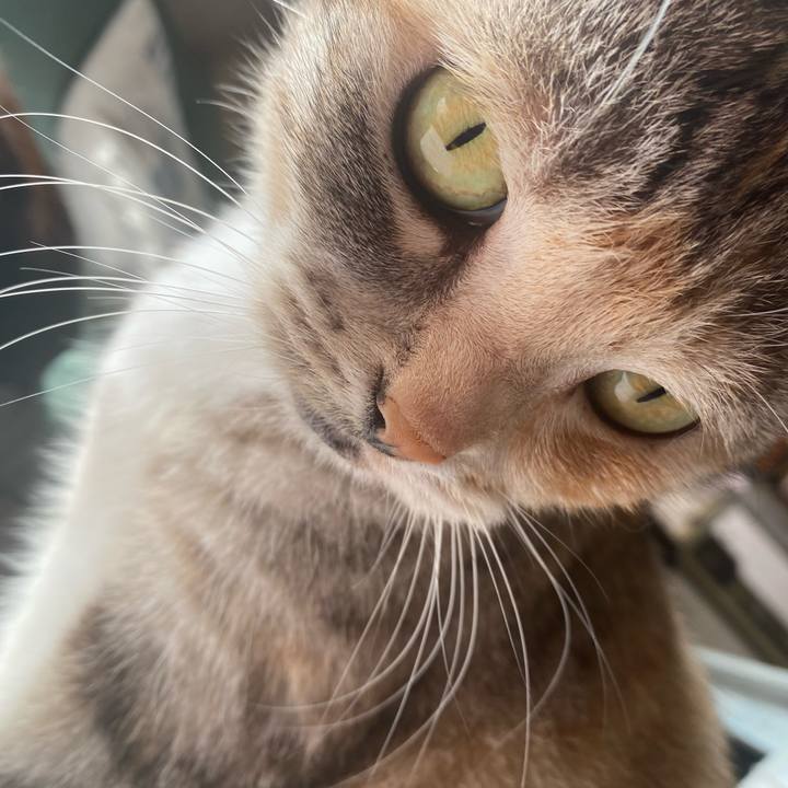 8ce25723 1089 4808 bf77 be9cc3078a05 1614998789225