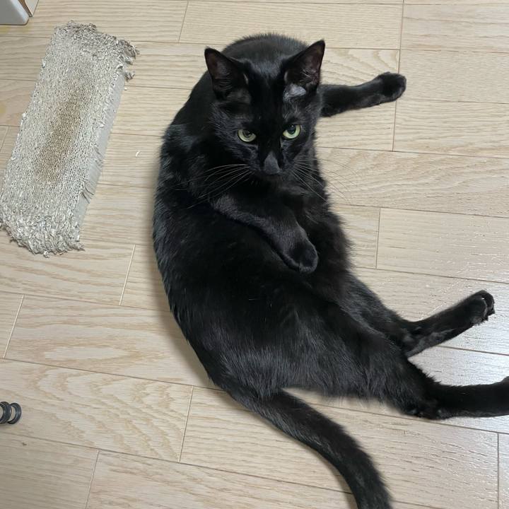 8ce25994 3f16 4351 94be 1676e940dddf 1645190920362