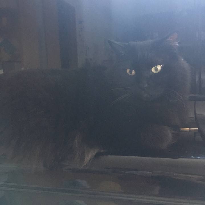 8ce290c2 3f60 4e5f 8640 351569e7ee65 1532564750575