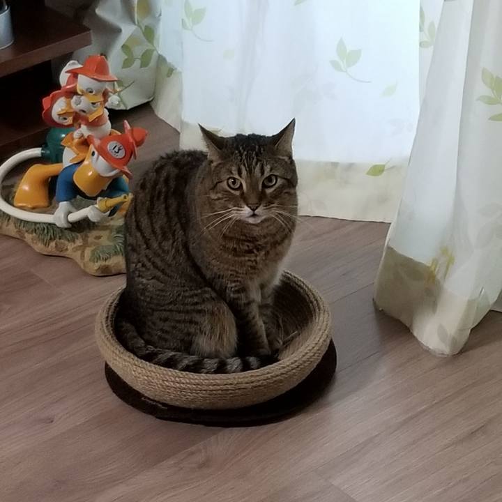 8ce2a48a fbdc 42de aef1 b205f00d5297 1604439733267